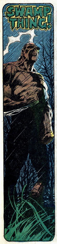 Swamp Thing by Bernie Wrightson, (c) DC Comics